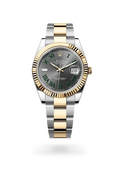Rolex Datejust 41