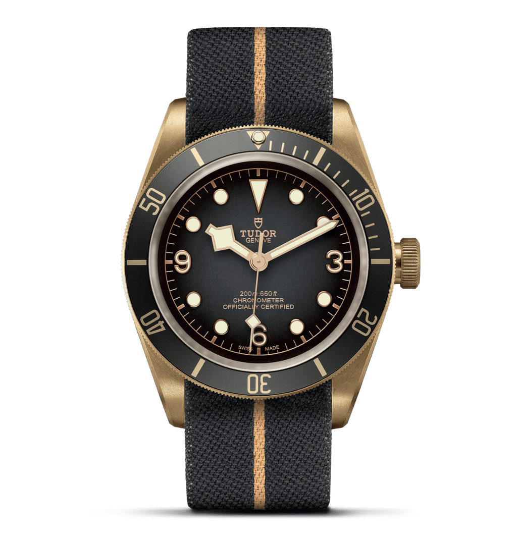 Black Bay Bronze